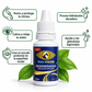 Pets Vision – Cuidado Ocular para Mascotas