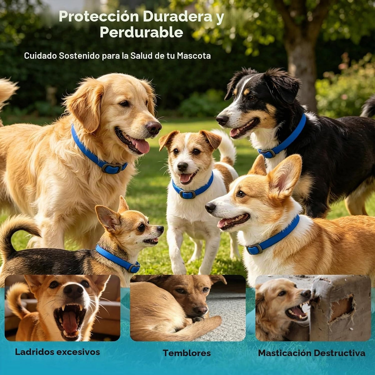 CalmiCollar – Collar Calmante con Feromonas para Perros