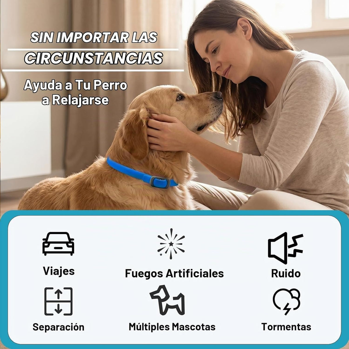CalmiCollar – Collar Calmante con Feromonas para Perros